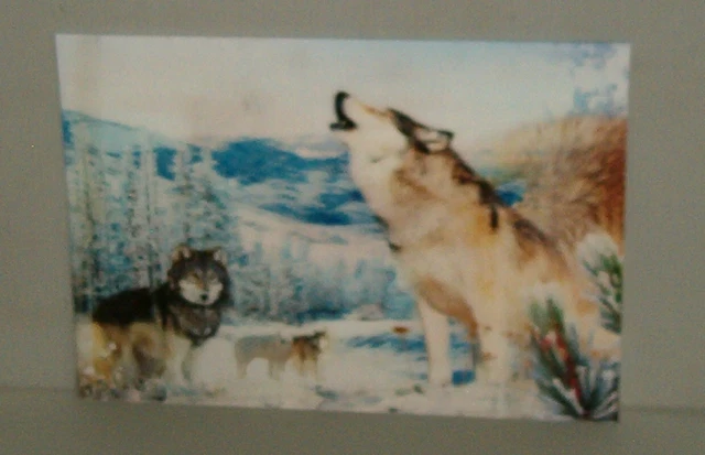 3D Changeing Wolves / Wolf Picture ,Wild Life , Art