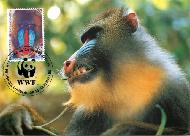 E0008 WWF Maximum Card 1991 Fauna Animals Equatorial Guinea Mandrill