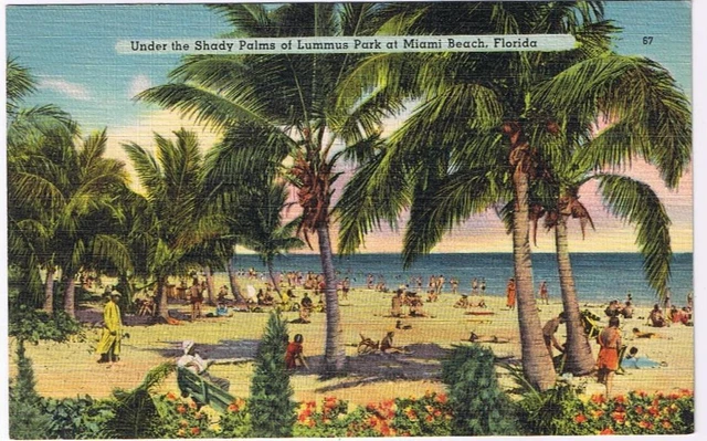 Postcard Under The Shady Palms Of Lummus Park Miami Beach Florida
