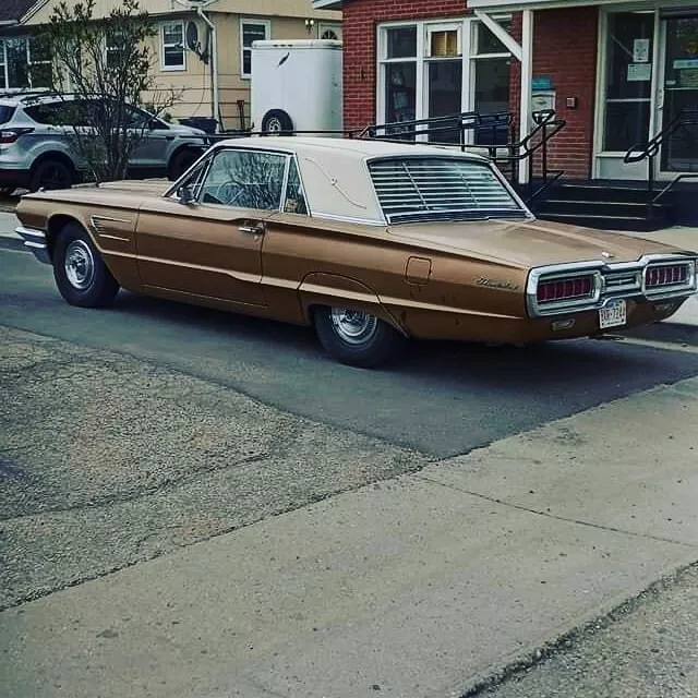 1964, 1965, 1966 Ford Thunderbird Venetian Blinds *Sale*