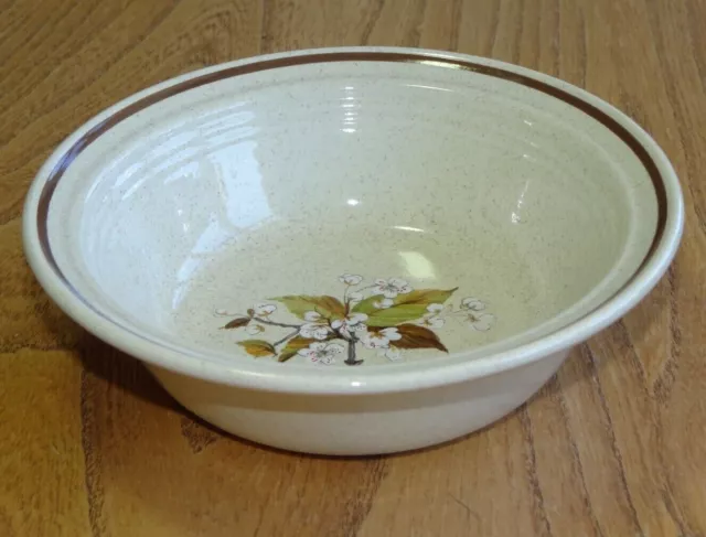 Royal Doulton WILD CHERRY Bowl Soup Cereal or Dessert Smaller Lambethware LS1038