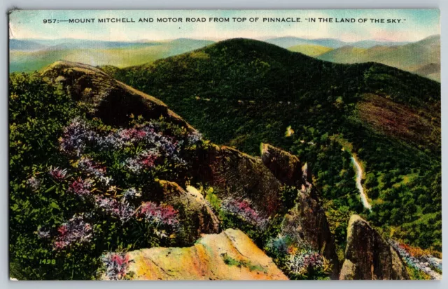 Mount Mitchell & Motor Road from the Top of Pinnacle - Vintage Postcard