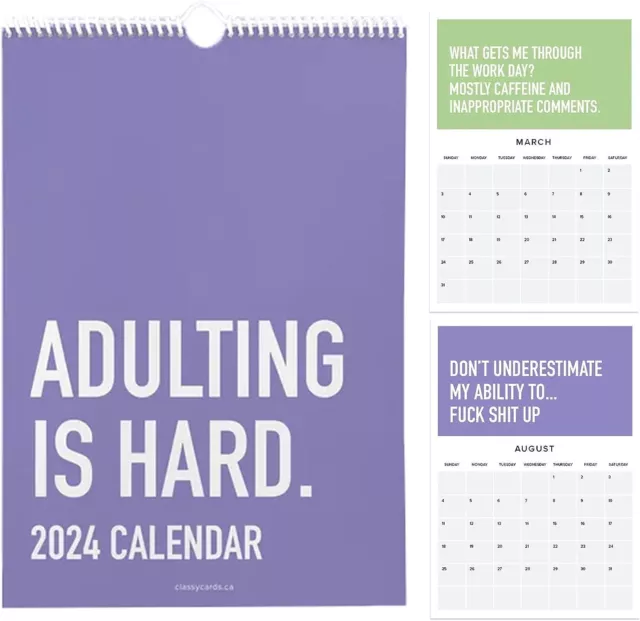 adulting-is-hard-2024-calendar-monthly-inspirational-wall-calendar-14-32-picclick-uk