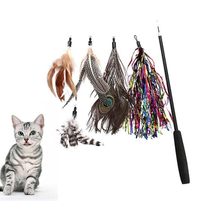 6 Pcs Plume De Chat Taquin Jouet Interactif Jouets Sport Paon La