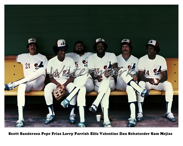 1978 MONTREAL EXPOS in Dugout Color 8 X 10 Photo Picture 6.62