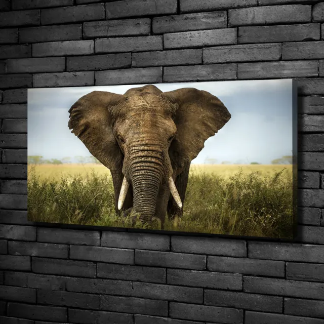 Cuadros Modernos Sobre Lienzo Para el Salón 100x50 Elefante en la sabana