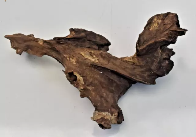 Driftwood Natural Tree Trunk Aquarium Fish Tank Reptile Deco Heartwood 8inches