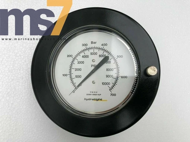 Pompa Instrument HYDRATIGHT 3D INSTRUMENTS X1-2 700 BAR/10,000 Psi Gola Per Pompa ...