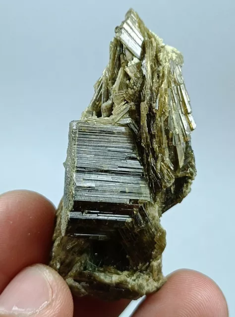 22g Large size Chrome Epidote lustrous crystal with (pleochroism property) - Pk