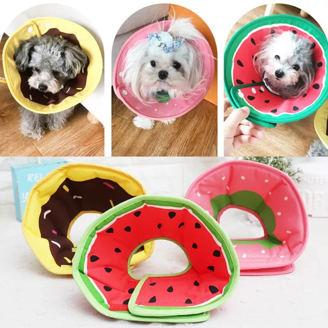 Elizabeth Conical Circle Collare Antimorso Per Cani E Gatti Antigraffio E