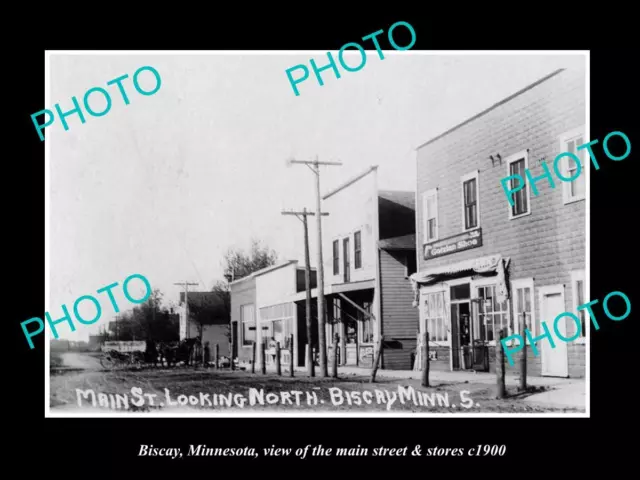 OLD LARGE HISTORIC PHOTO OF BISCAY MINNESOTA VIEW OF THE MAIN St & STORES c1900