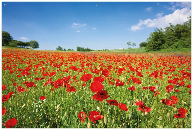 Wallario Garten Bakon Poster Zaun Sichtschutz wetterfest - Mohnblumenfeld- rote
