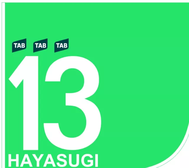 HAYASUGI - Original, Signed Saddle Cloth from 2024 Golden Slipper