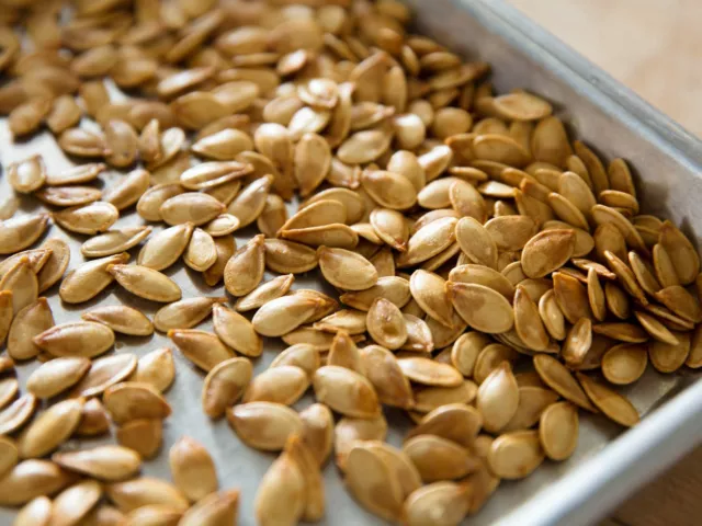 100 Fresh pumpkin seeds are fast growing Graines de citrouille 3