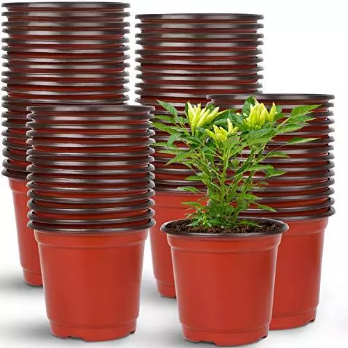 Small Flower Pots Seedling Succulent Plastic Planter Lot Set 150 Pcs 4 Inch