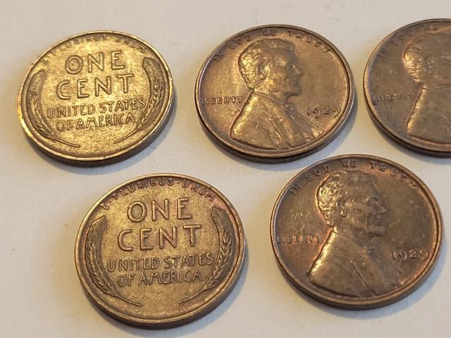 1929 Lincoln Wheat Cent Penny Lot of 5 Gorgeous Coins! Philadelphia US Mint! 5