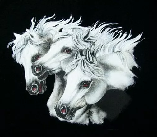 Wild Arabian Art Horse Show Sweatshirt Ws309