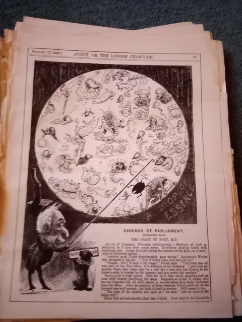 Sa80  1883 original punch cartoon essence of Parliament