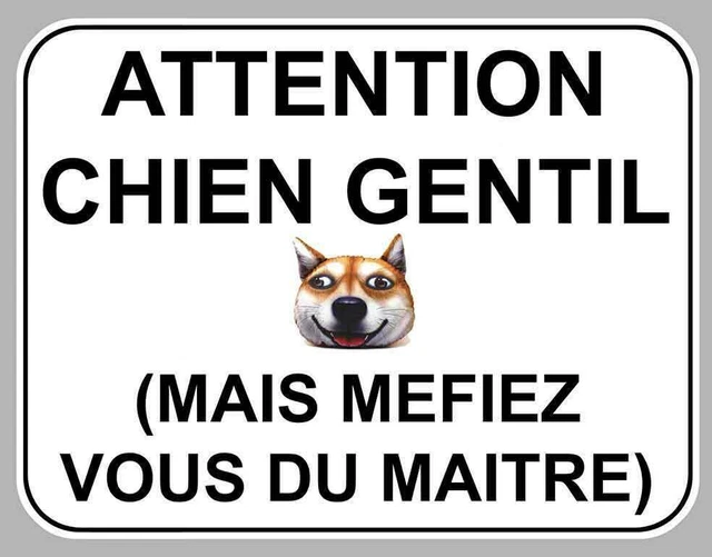 Plaque Humour "Attention Femme Méchante" Version Chien Ou Chat - Aluminium 15x20cm, Pour Jardin Ou Porte