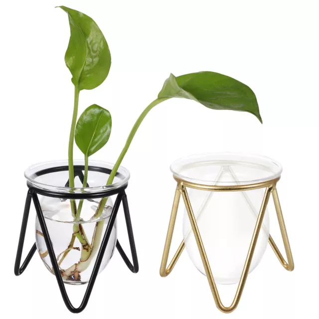 2 terrarios de plantas de vidrio transparente con soporte de metal para plantas hidropónicas-