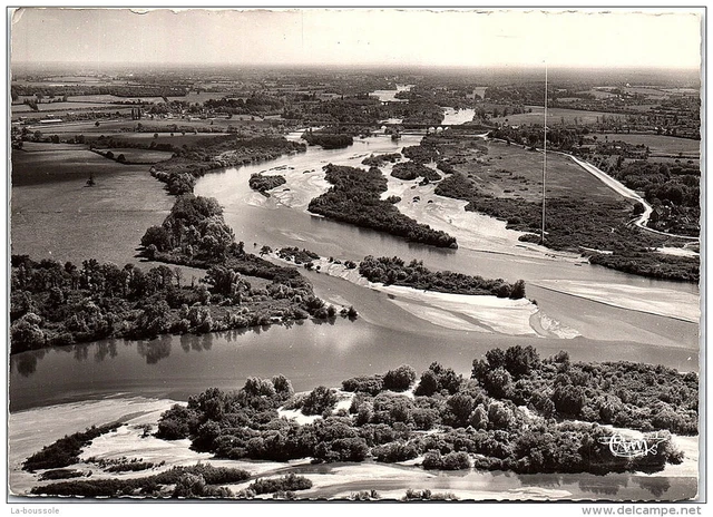58 BEC D'ALLIER - vue aerienne du confluent de la loire et allier