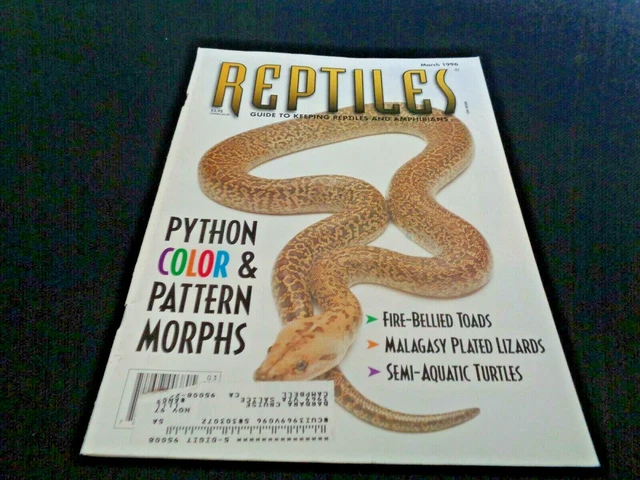 REPTILES MAGAZINE 1996 Amphibians Python Color Pattern Morphs Fire ...