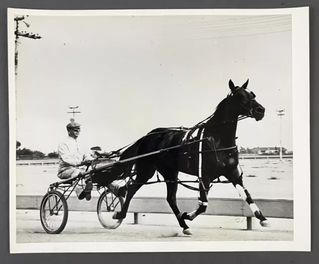 Harness Horse Racing Sulky Cart Standardbreds Jockey Vintage Press Photo
