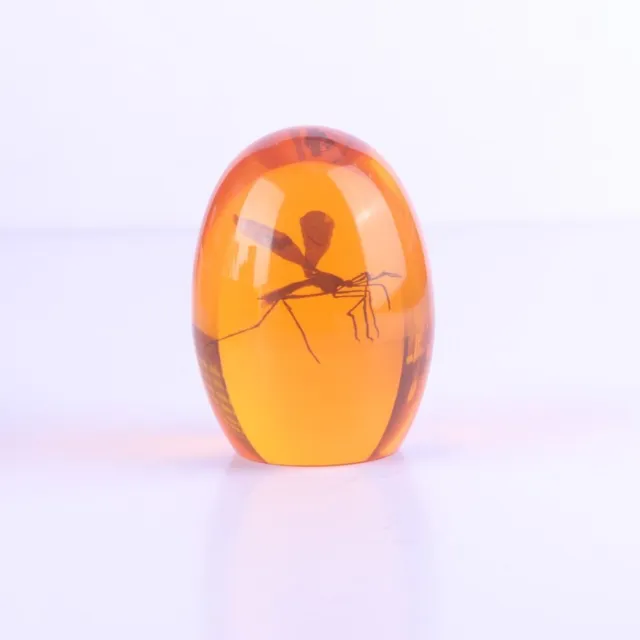 Mosquito Desk Accessories Amber Ornament Figurines Paperweight  Home Decor