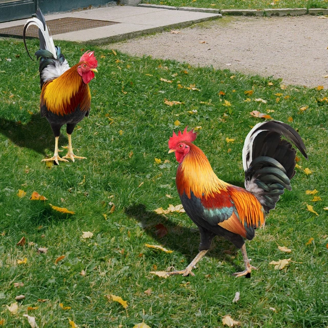 2PCS Hen Figurin Ornamental Rooster Decor Garden Statue Weatherproof for Easter