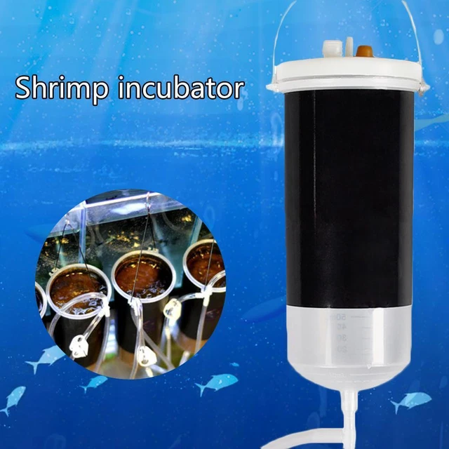 Alimentación para peces bebé peces camarón herramienta para incubación de huevos salmuera camarón 250 ml incubadora G5F9