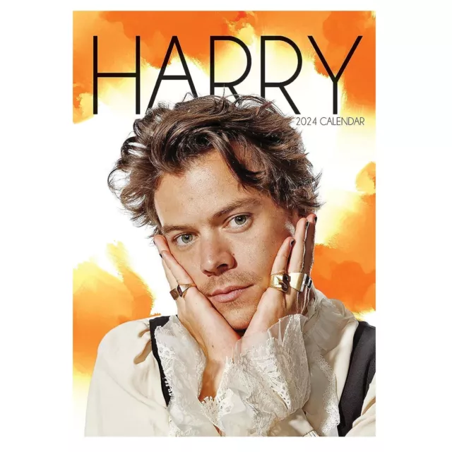 HARRY STYLES 2024 Calendar, Month To View A3 Wall Celebrity Calendar £9