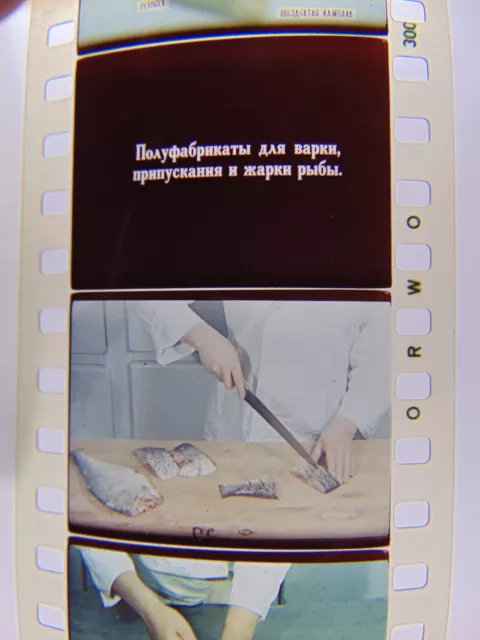 Tira de película de 35 mm ""Características de corte de pescado"" educación deslizable carrete de celda cocina 3