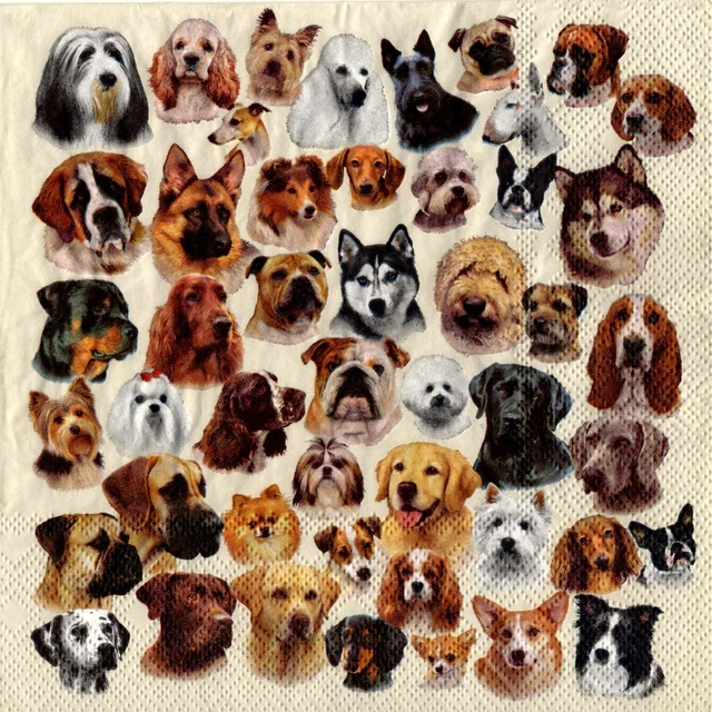 Serviettes en papier chiens les races têtes de chiens. Paper napkins dogs breeds