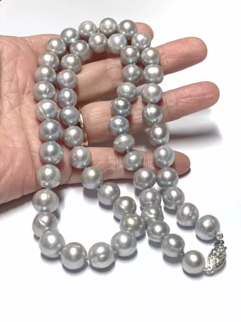 Original 8,5 - 10 mm natürliche silbergrau kultivierte ovale runde Perle 21" Halskette 2