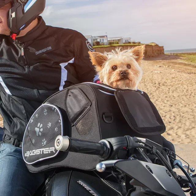 Borsa da moto per trasporto cane Bagster Puppy + supporto universale easy road