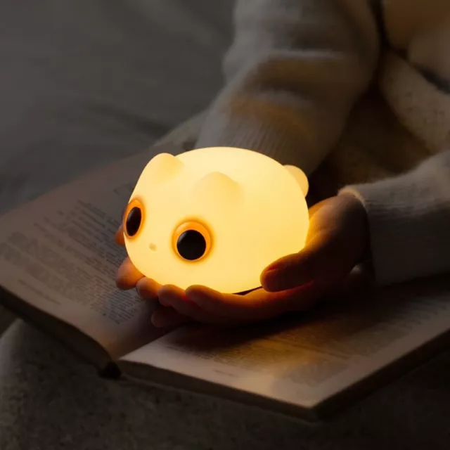 Touch Control Cute Cat 3D Lamp USB Rechargeable Desk Lamp  Birthday