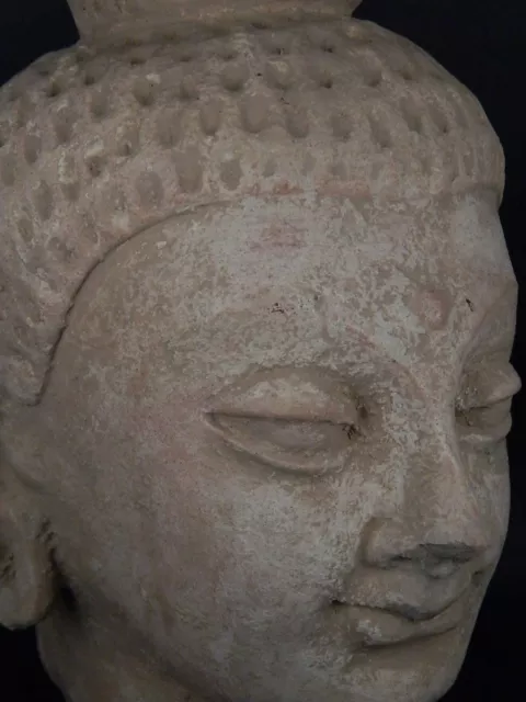 Ancient Large Size Teracotta Buddha Head Gandhara/Gandharan C.300 AD #IK847 3