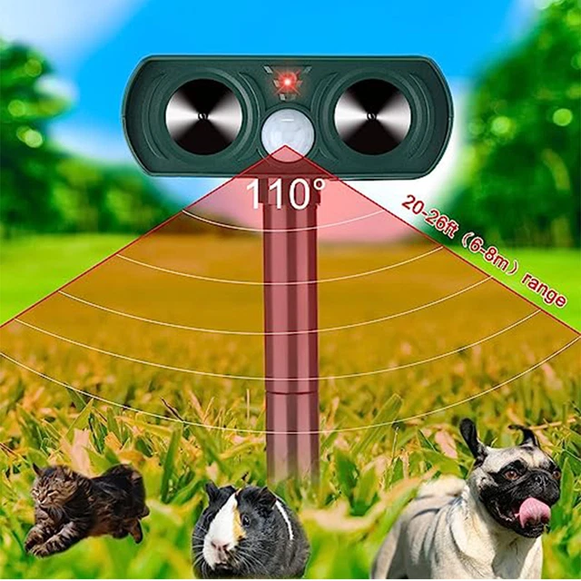 A closer look at Garden Pest Control With Dogs Grazing