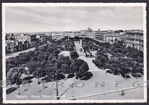 BARI BISCEGLIE 09 Cartolina viaggiata 1955