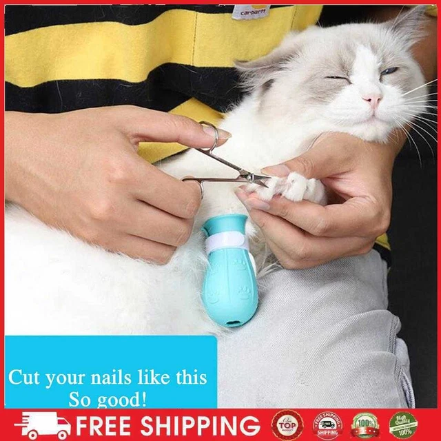 SOBW 4 piezas zapatos de gato gatos protección contra arañazos silicona gato zapatos antiarañazos uno