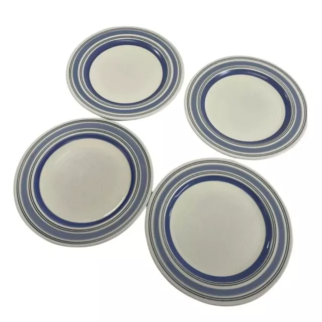 Pfaltzgraff Rio Dinner Plates Set Of 4