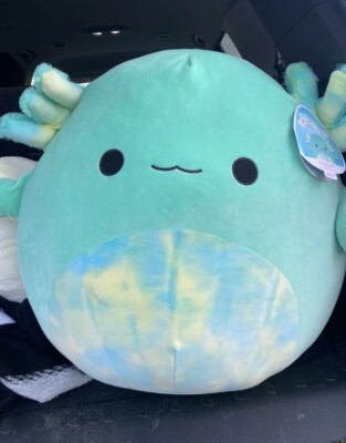 anastasia axolotl