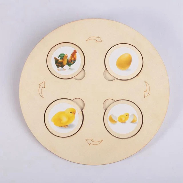 LIFE CYCLE TRAY Matching Game Jouet d'apprentissage pour fille £15.83 ...