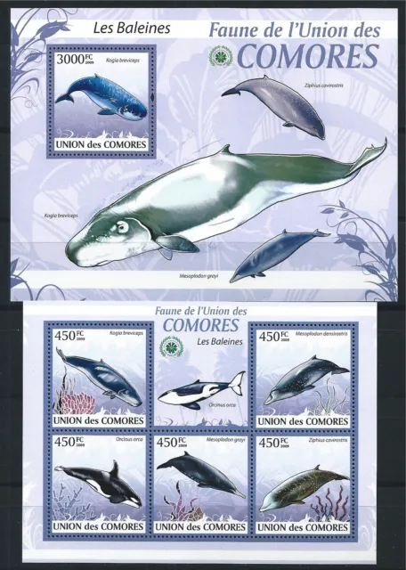 Comores 2009 Mini Sheet Bloc Jeu Faune Minr : 2450 - 54, 531 MNH Baleines