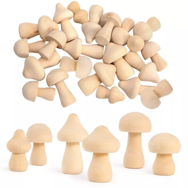 30 Pieces Unfinished Wooden Mushroom 6 Sizes of Natural Wooden Mushrooms1979