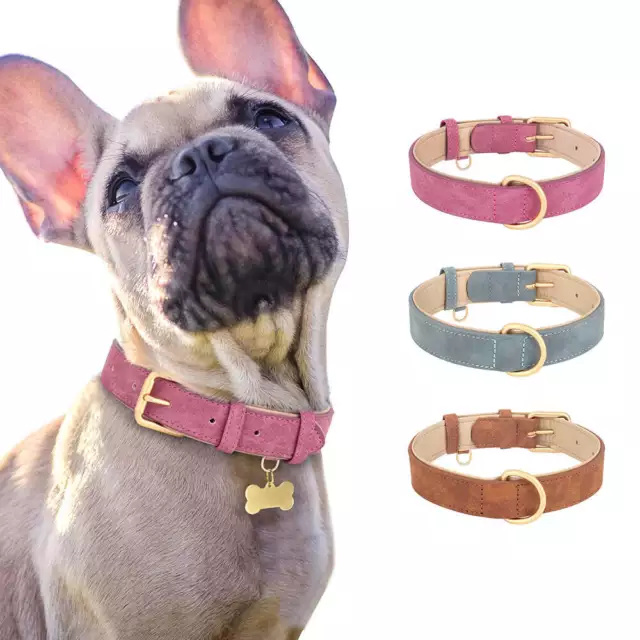 Adjustable Dog Collar