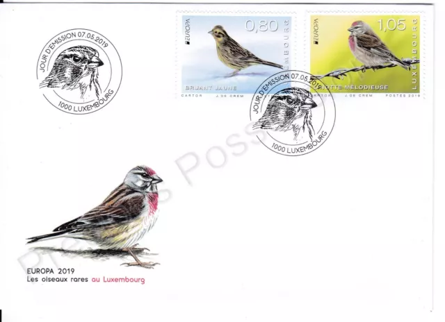 Luxembourg Fdc First Day Cover 2019 Europa Rare Birds