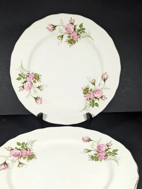 Vintage China 4 Dinner Plates, Canonsburg Hallmark, Rose Bouquet 22 K Gold 1937