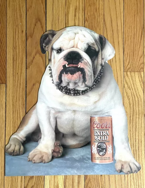 Vintage Coors Extra Gold Advertising Cardboard Sign Bulldog Dog Spike Collar