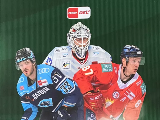 DEL 22/23 Teamset Basecards Bietigheim Steelers, alle 25 Karten